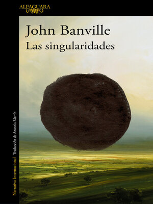 cover image of Las singularidades